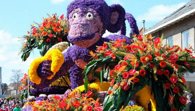 Цветочный Парад в Амстердаме